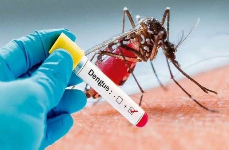 Delhi MCD Election 2022: दिल्ली एमसीडी चुनाव में डेंगू बन सकता है बड़ा मुद्दा! पांच मार्च तक मिले 42 नए केस