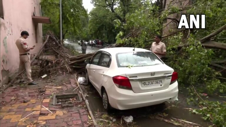 Delhi Weather: दिल्ली में तेज हवाओं के साथ भारी बारिश, आंधी-तूफान से कई जगह पेड़ गिरे